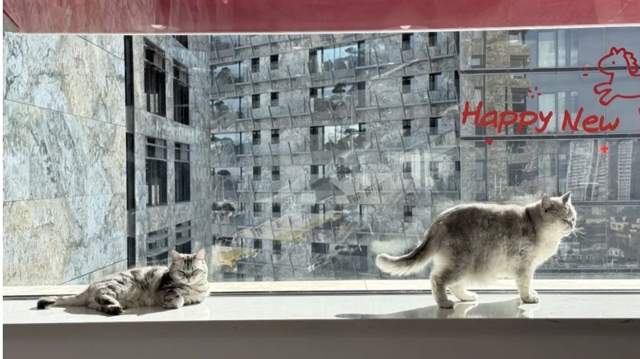 AI Outputs 'Good Enough' But Lack Human Effort