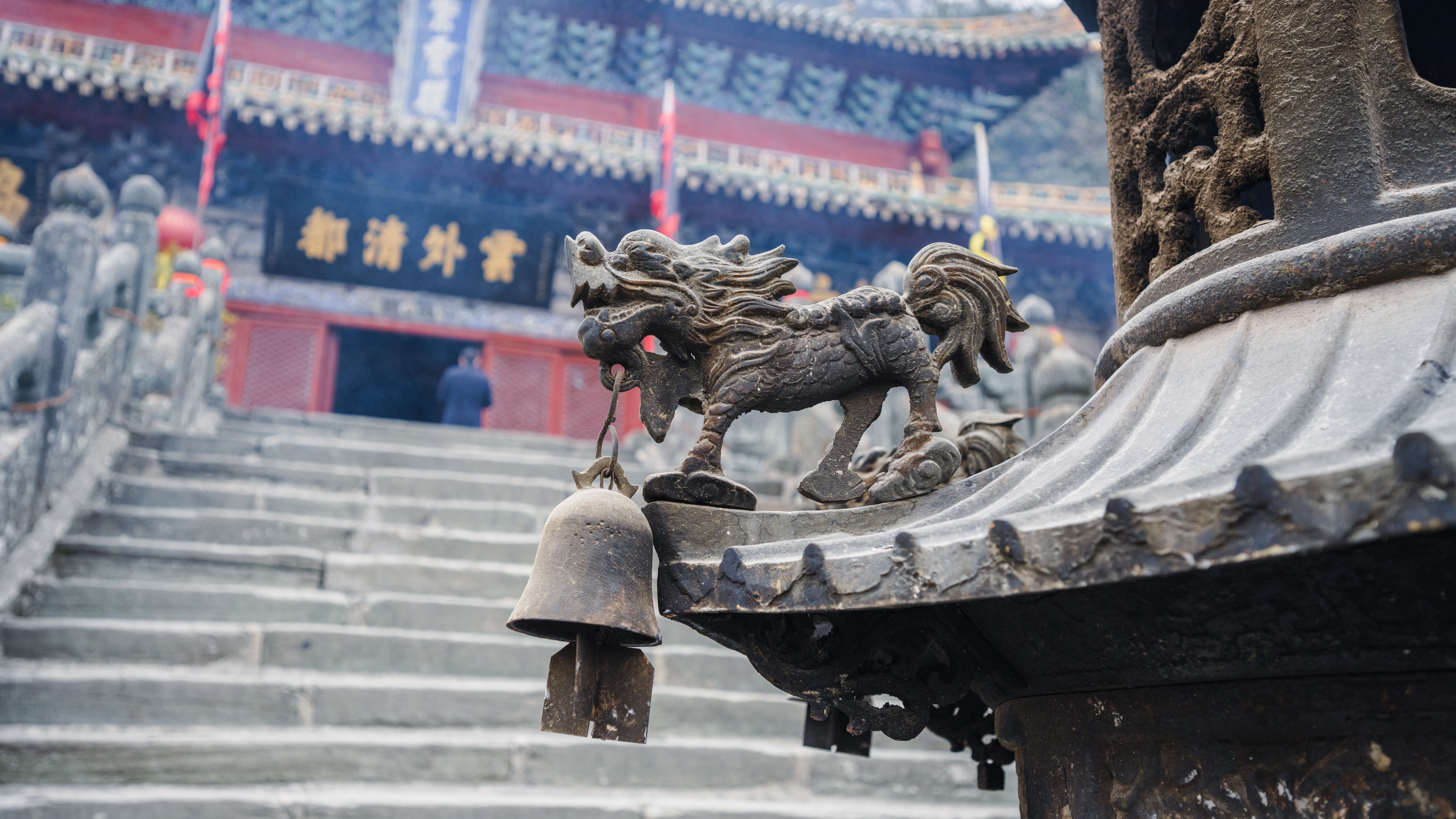 辞职，上山