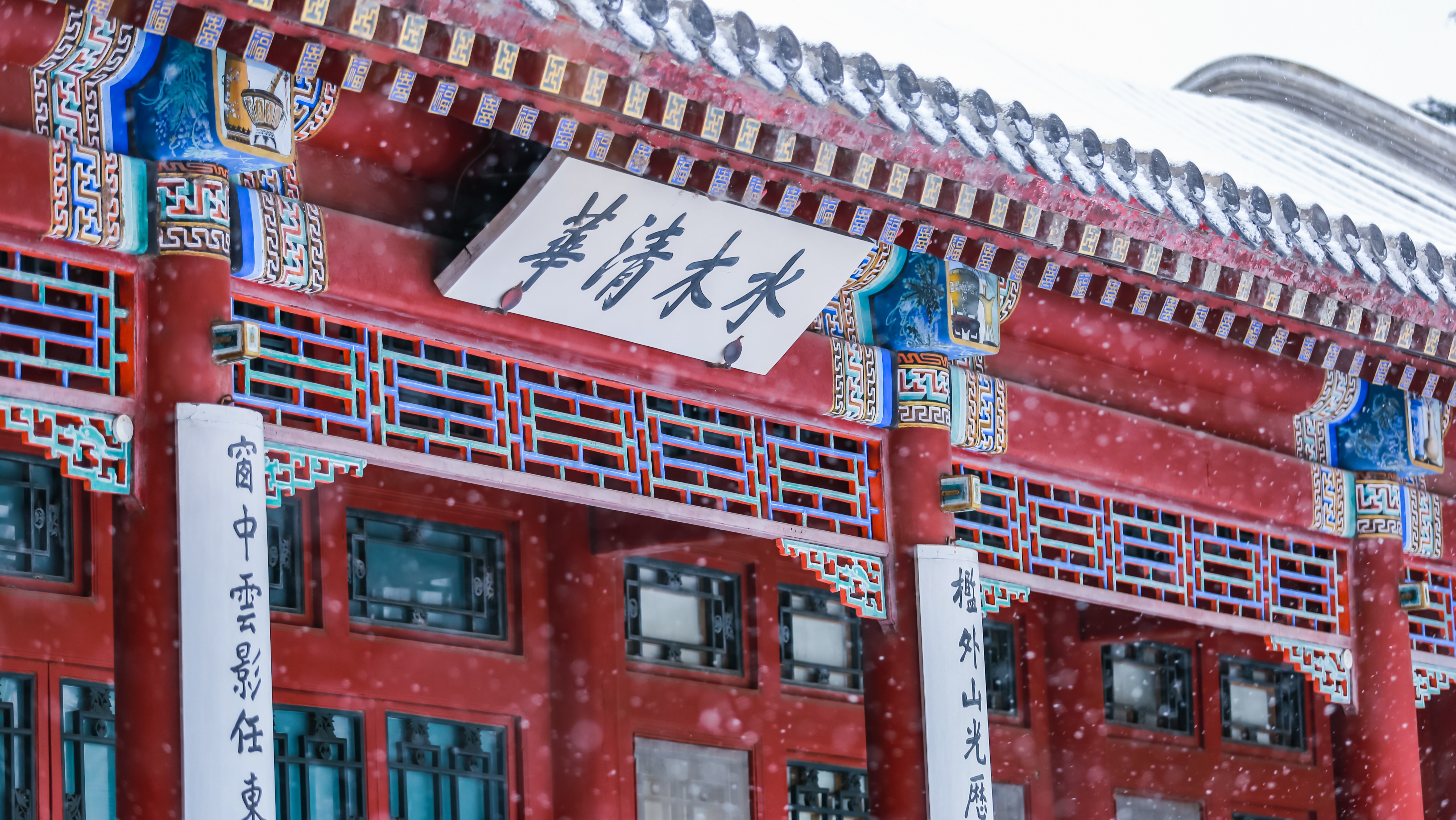 清华“劝退”一批数学天才？丘成桐的预言应验了