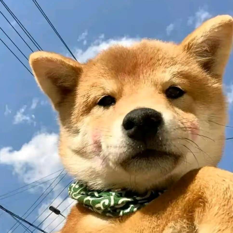 白想疯猴
