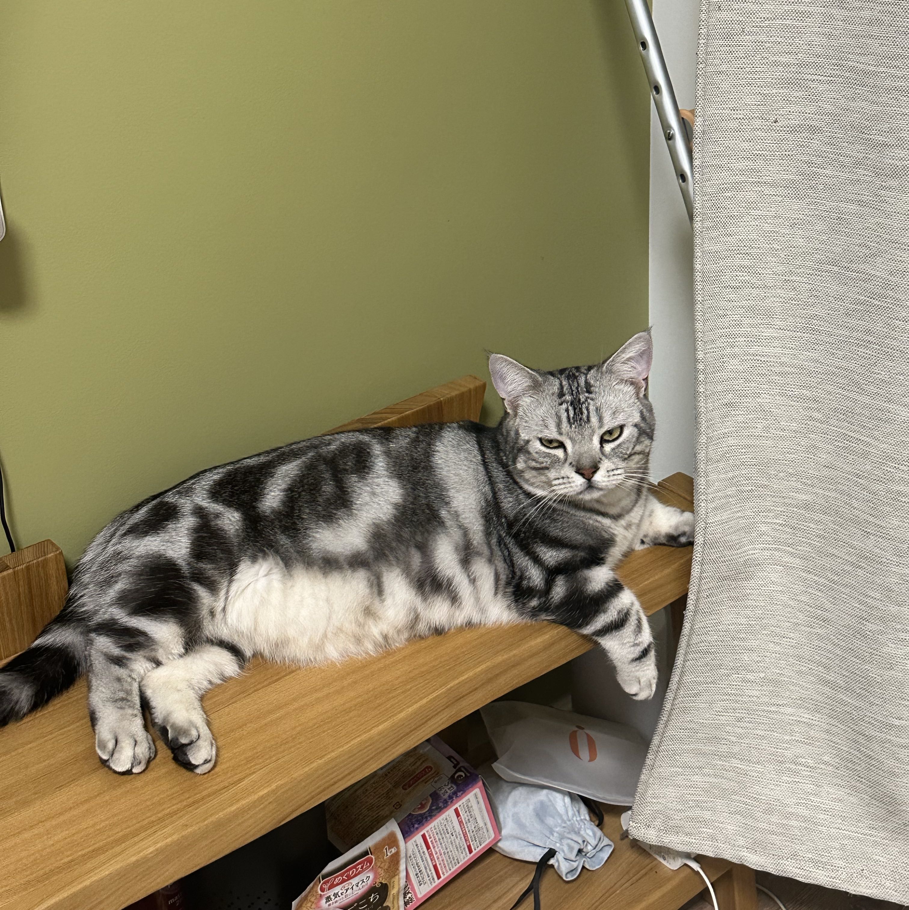 赞赏文章的用户