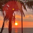 赞赏文章的用户