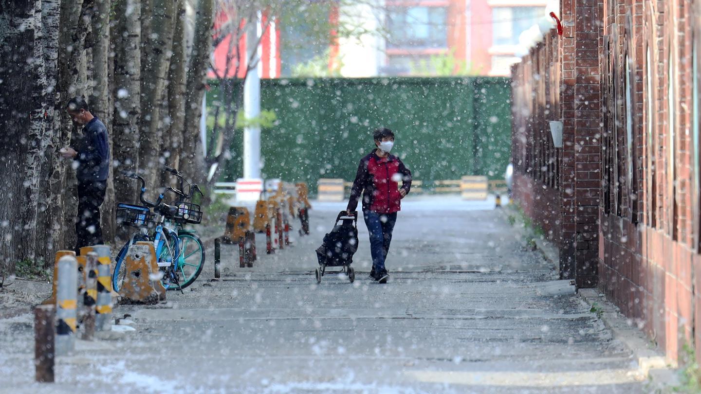 被过敏困住的现代人