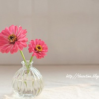bg_image