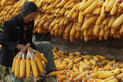 梳理帖：互联网可以如何改造传统农业？